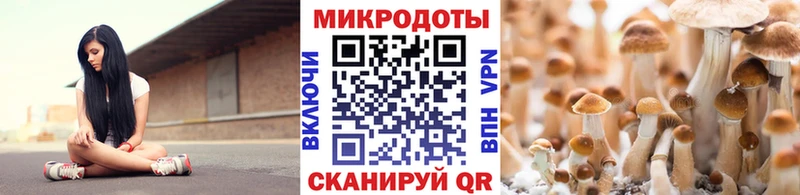 Галлюциногенные грибы Cubensis  Кизел 